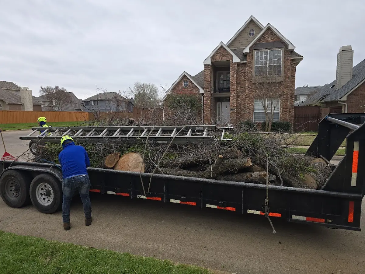 Expert Tree Fertilization with proper safety equipment in Oakland